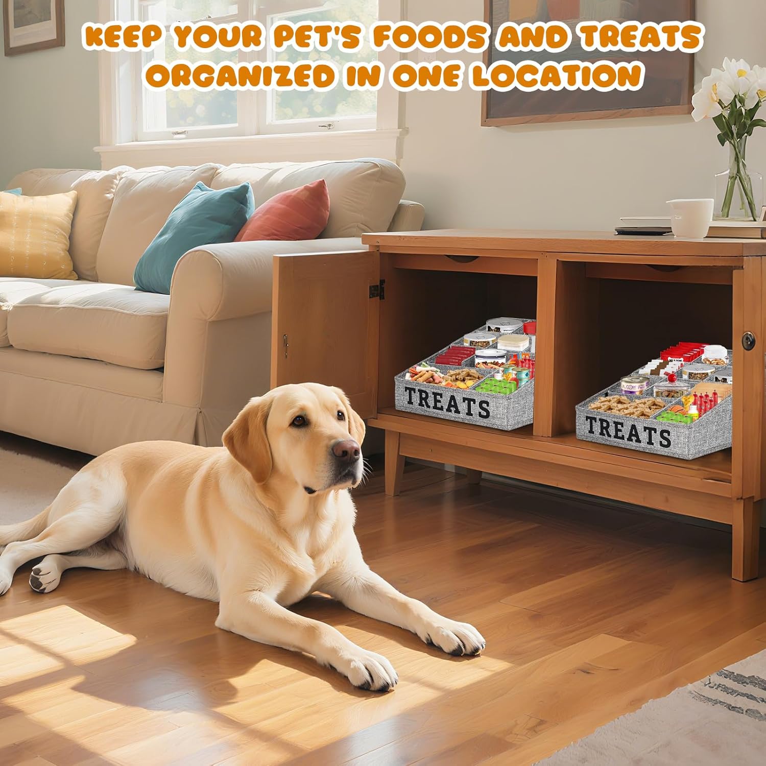 Collapsible Pet Treat Storage Container with 10 Compartments - Image 6