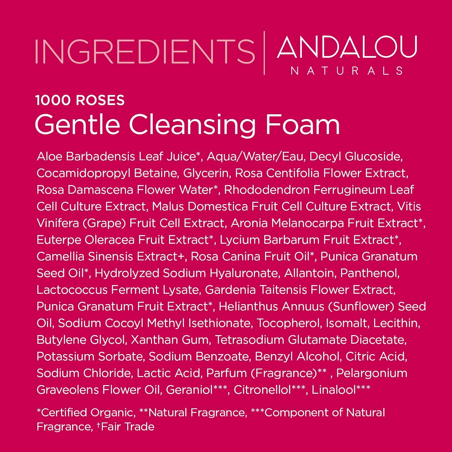 Andalou Naturals 1000 Roses Gentle Cleansing Foam - Image 10