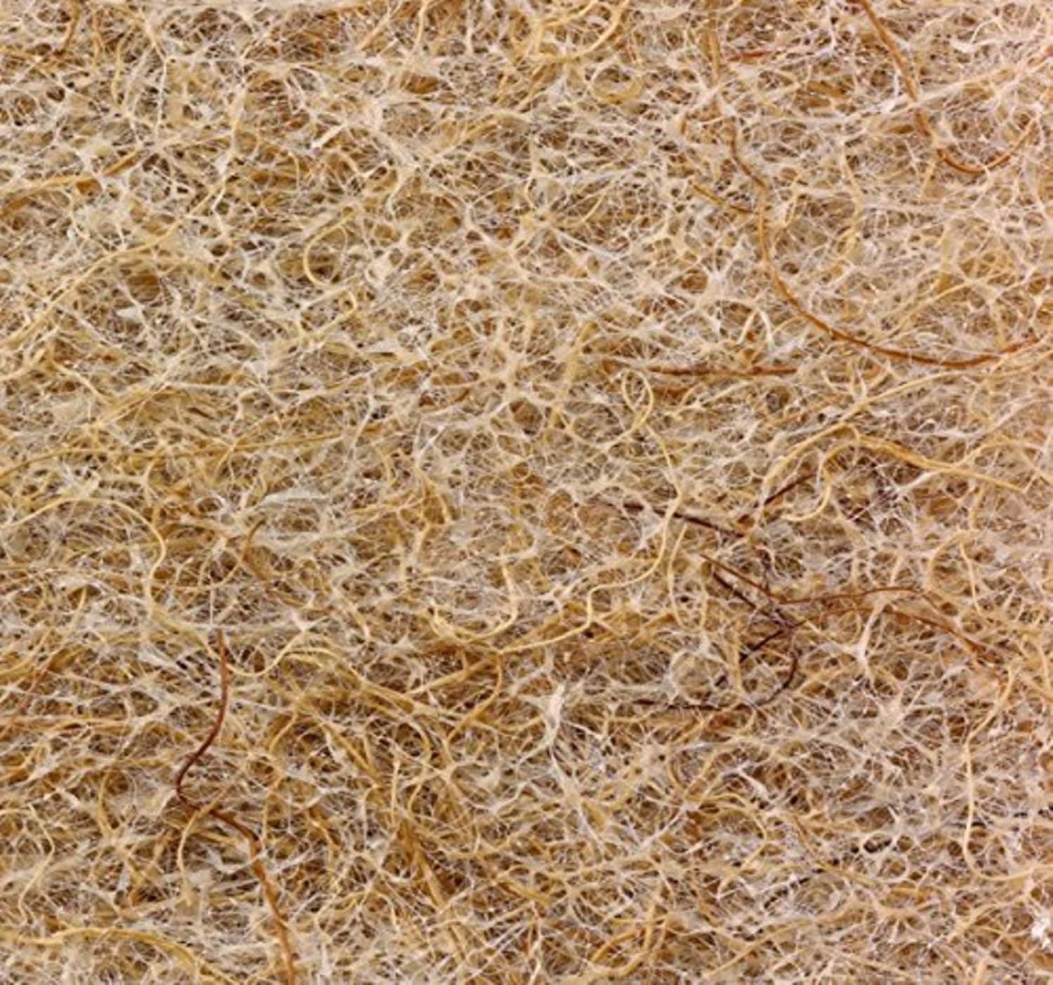 SCRUBIT Natural Cellulose Sponges - Image 6