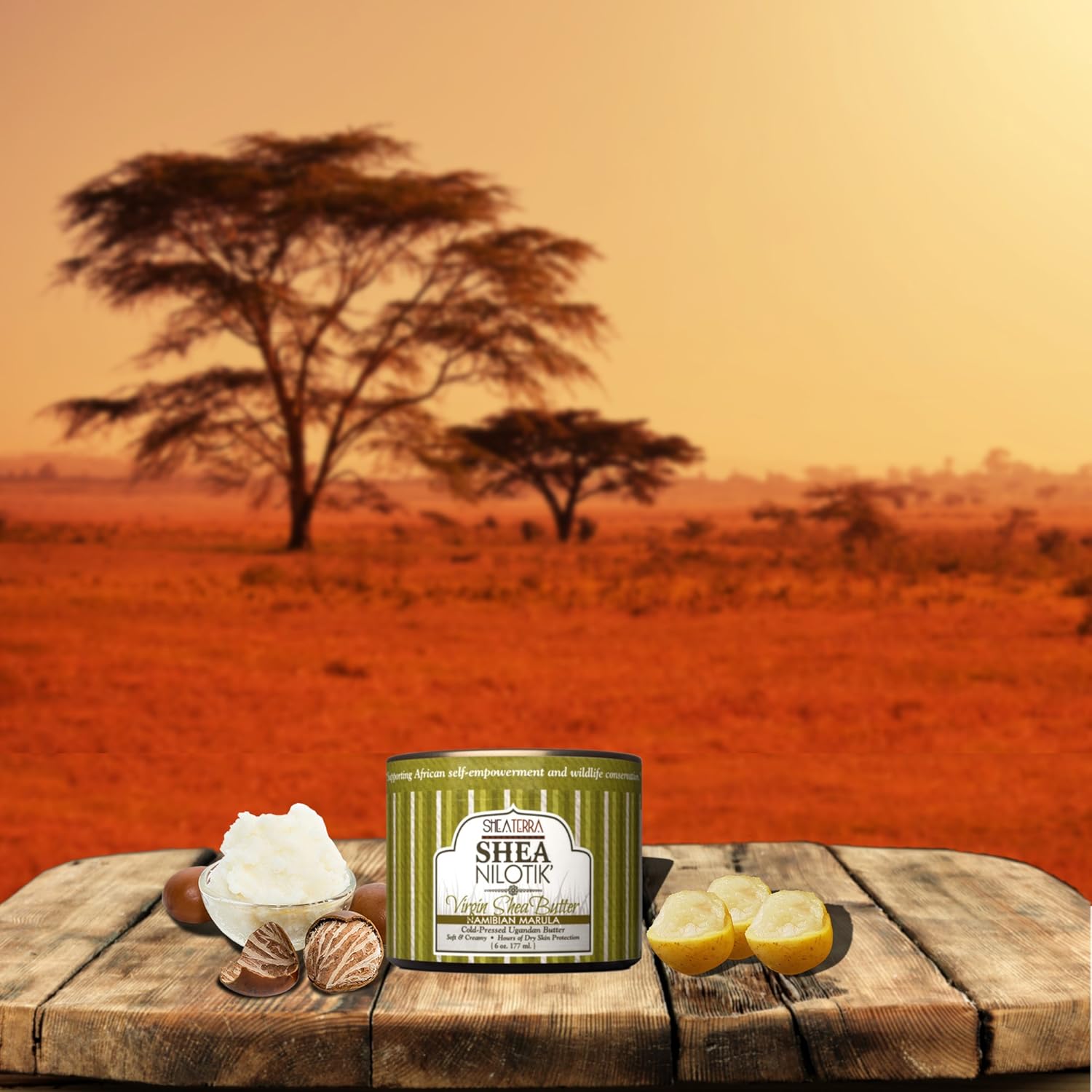 Shea Terra Organics 100% Organic Cold-Pressed Virgin Shea Butter – Natural Anti-Aging Daily Skin, Nails & Hair Cream - Image 4