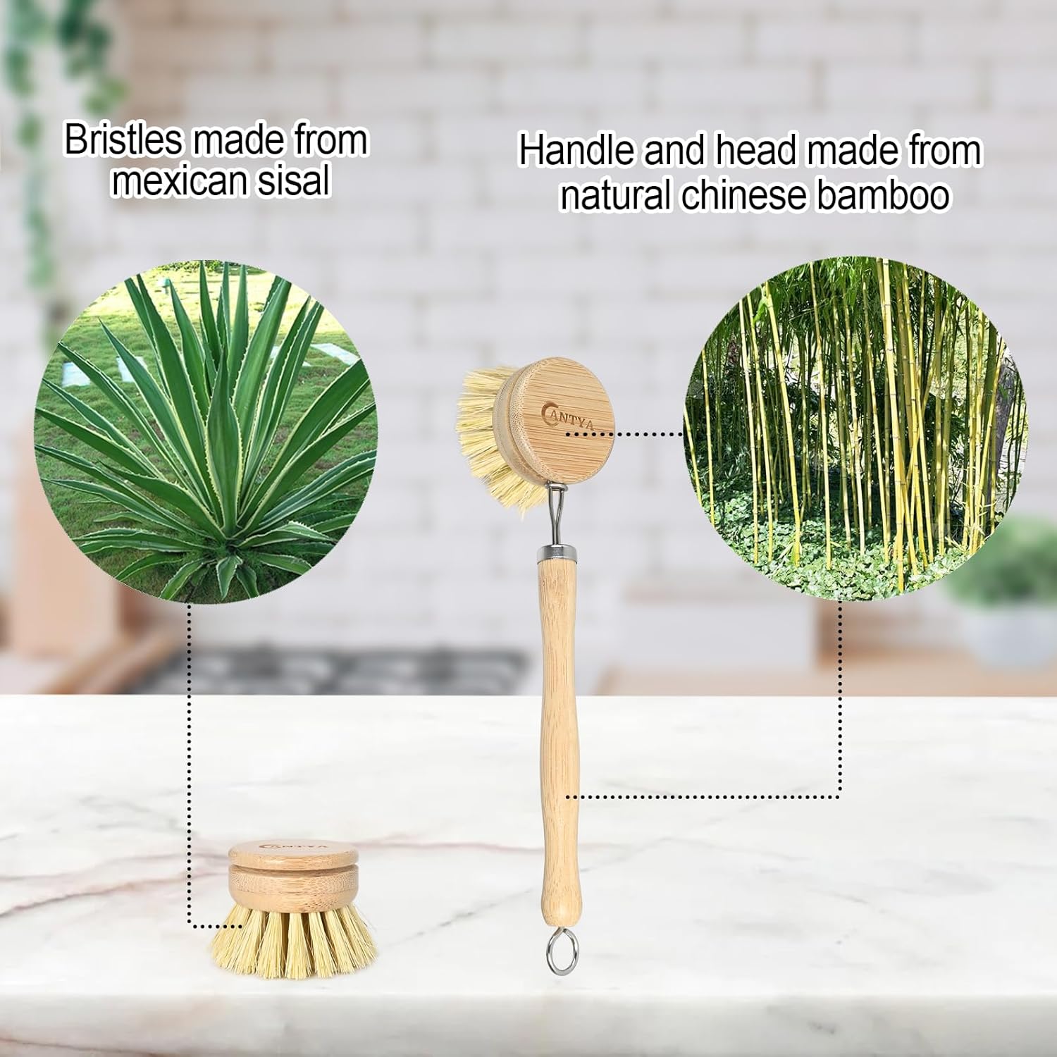 Eco Friendly Bamboo Dish Brush - Image 4