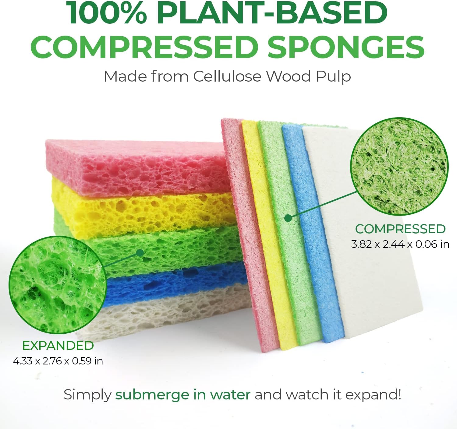 Biodegradable Cellulose Compressed Sponges - Image 3