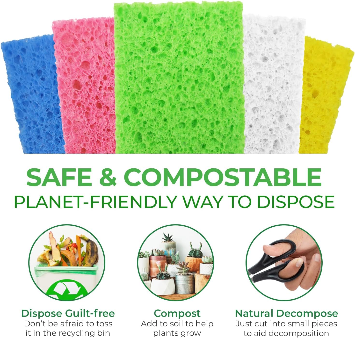 Biodegradable Cellulose Compressed Sponges - Image 8