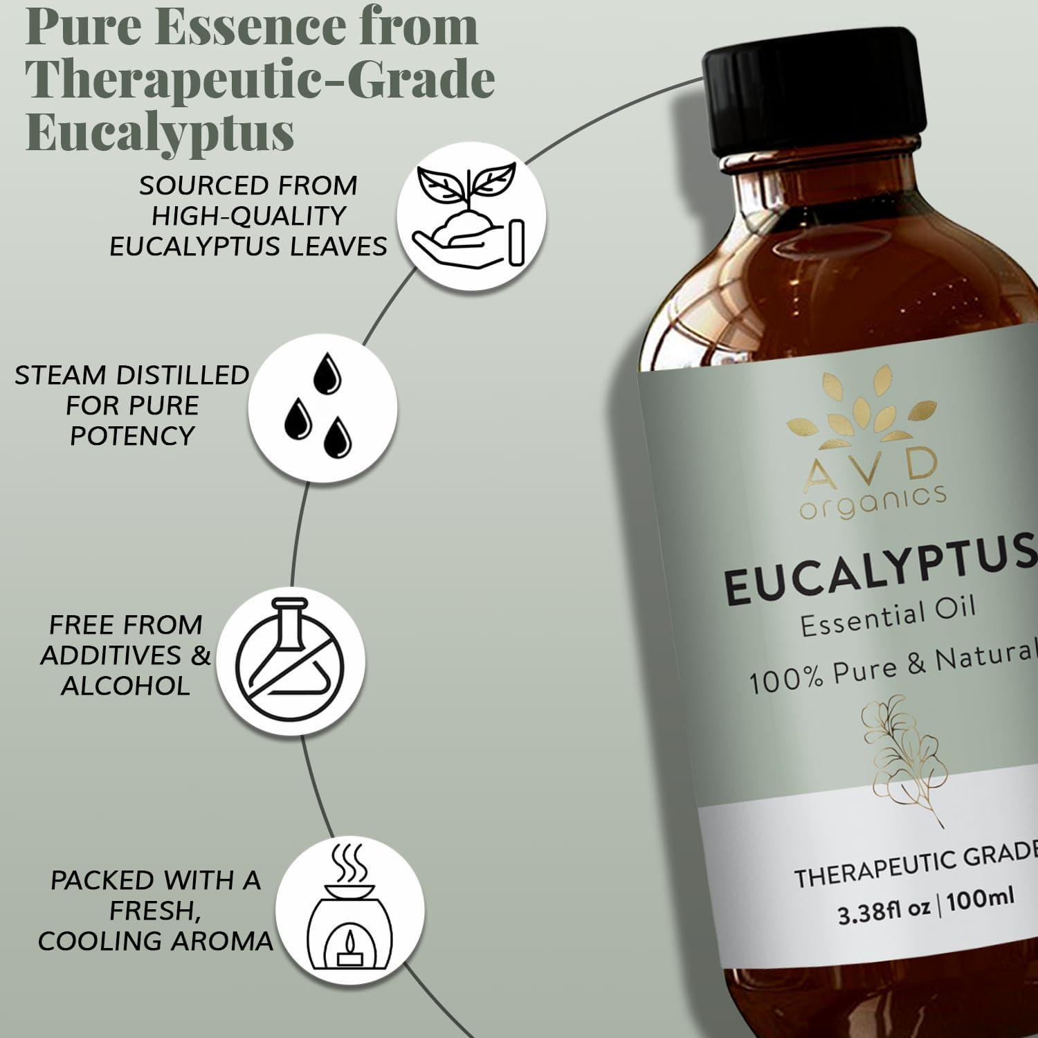 Eucalyptus Essential Oil 100ml - Image 6