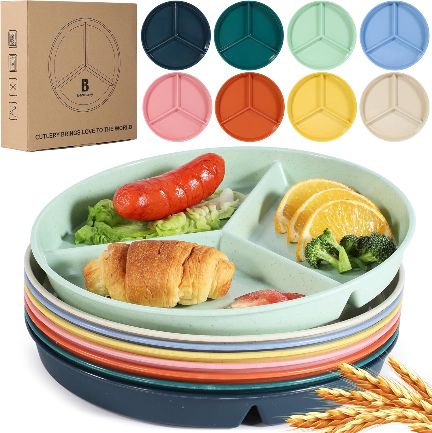 9.6Inch Multicolor Wheat Straw Plates for Adults - Image 2