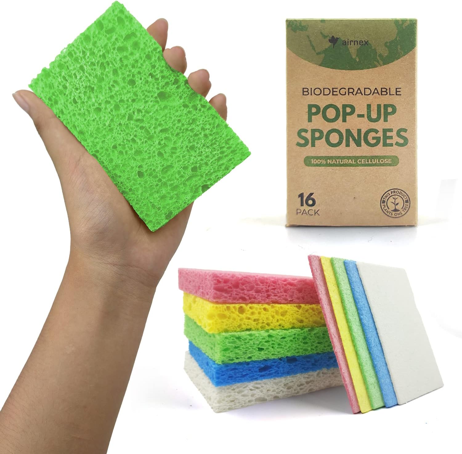 Biodegradable Cellulose Compressed Sponges - Image 2