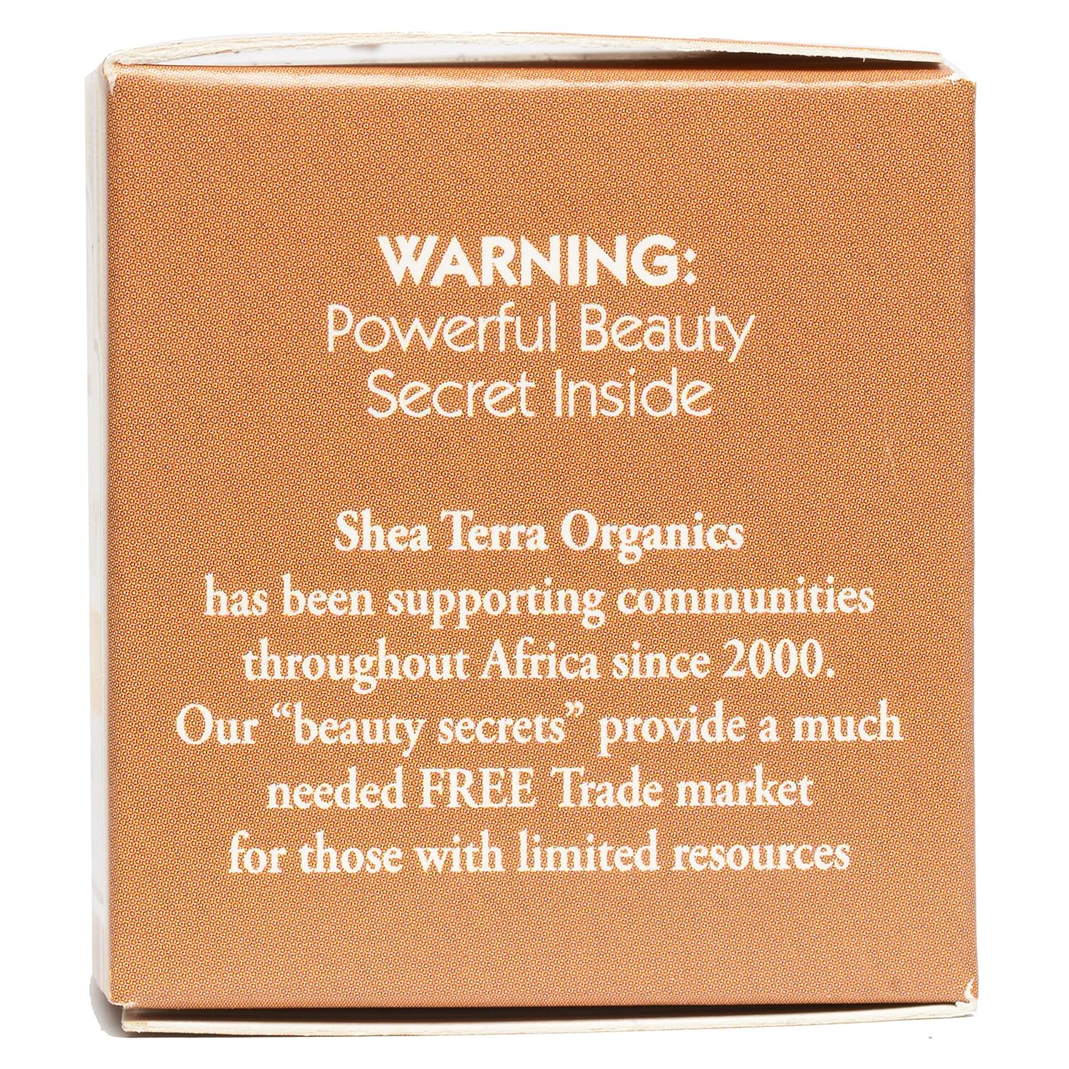 Shea Terra Organics E Lip Savior Lip Balm - Image 3