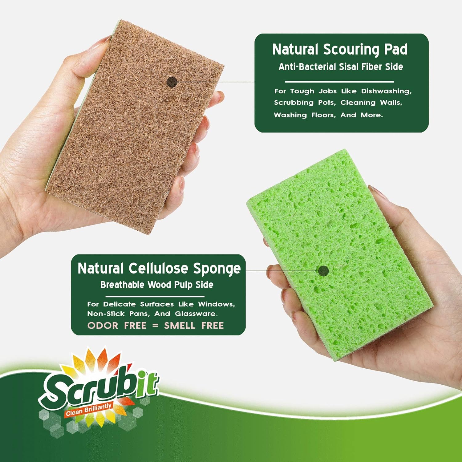 SCRUBIT Natural Sponges - Image 7