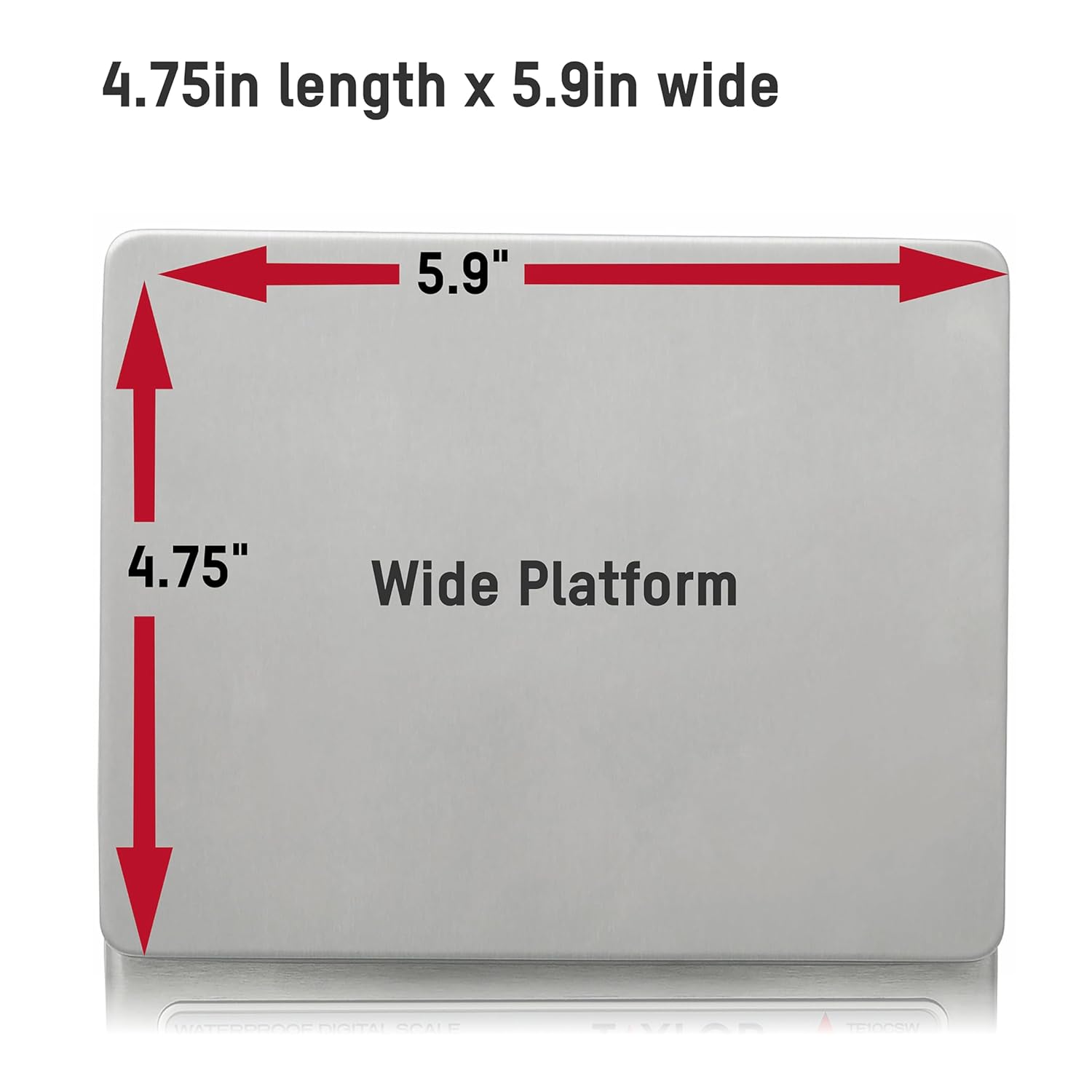 Taylor TE10CSW Digital Portion Control Scale - Image 4