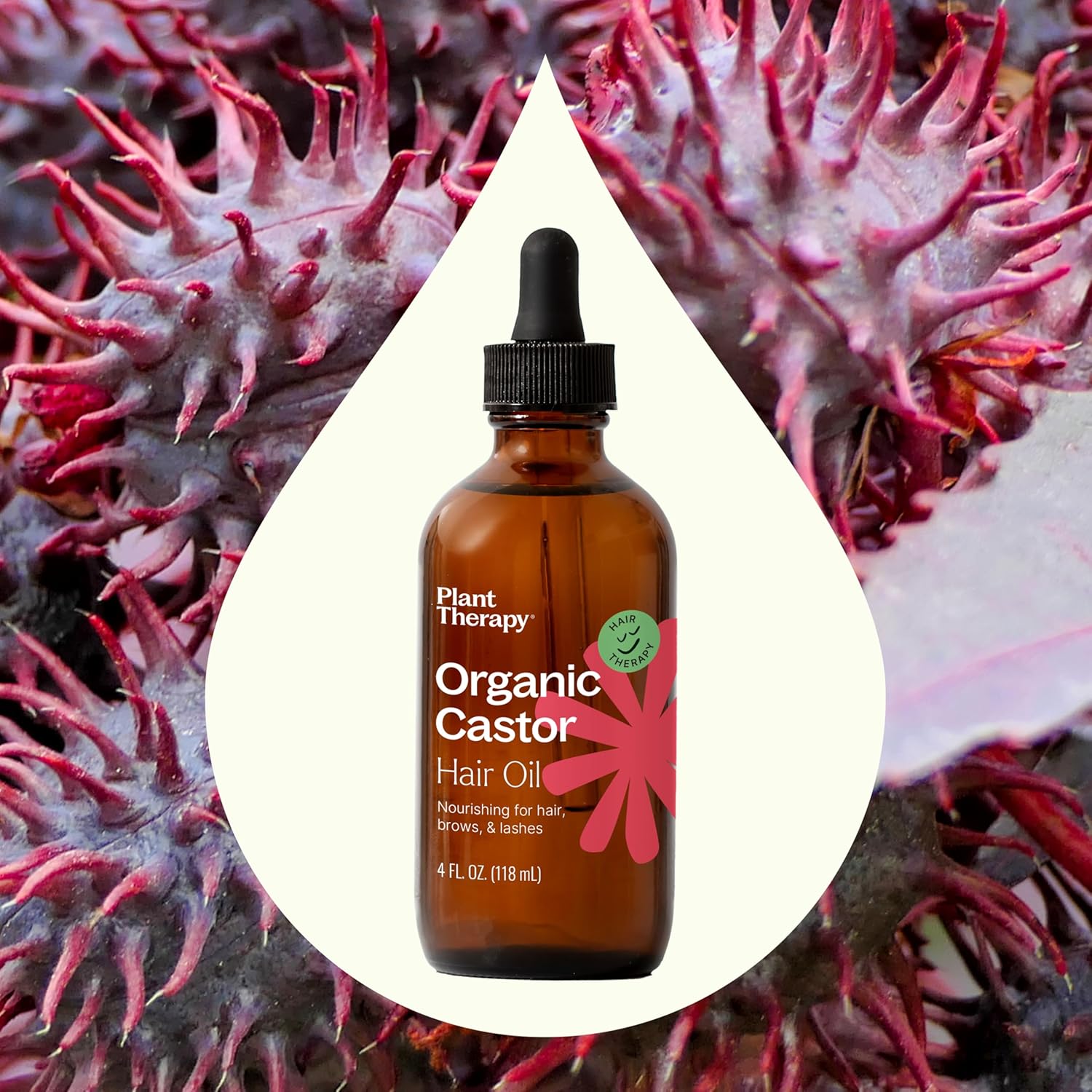 Plant Therapy Organic Castor Oil for Hair and Skin Treatment - Image 5