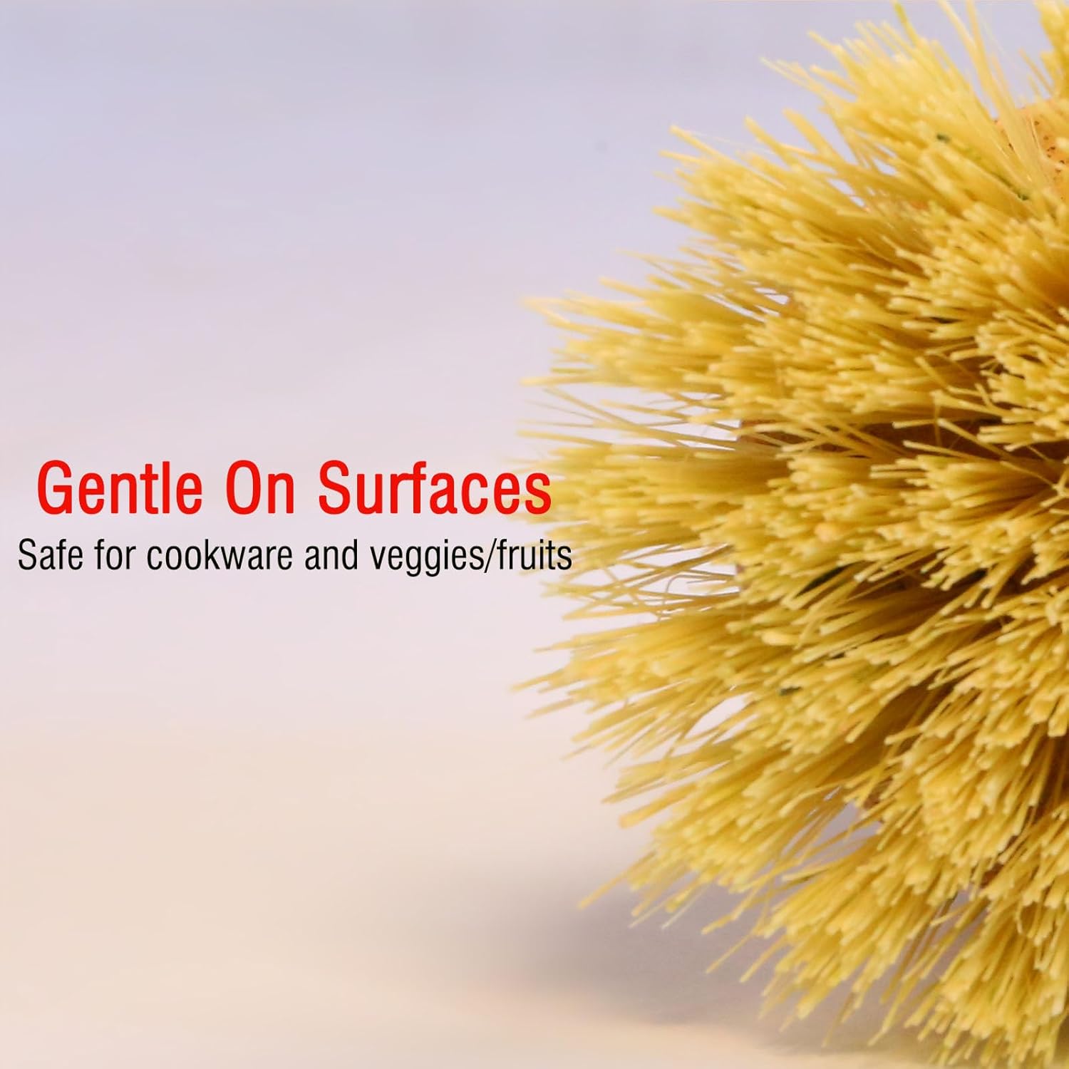 Eco Friendly Bamboo Dish Brush Set - Image 4