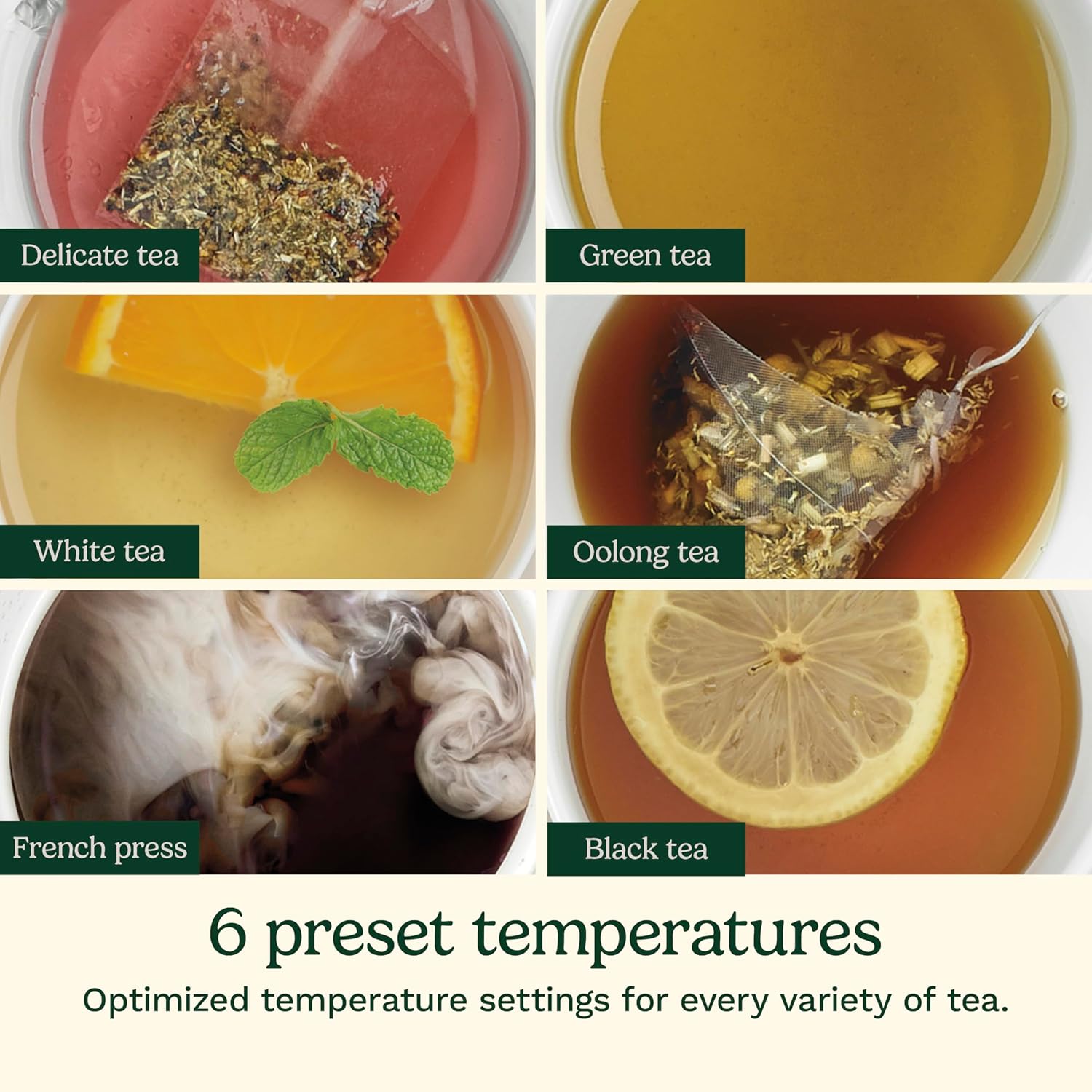 Cuisinart PerfecTemp 1.7-Liter Electric Kettle - Image 6