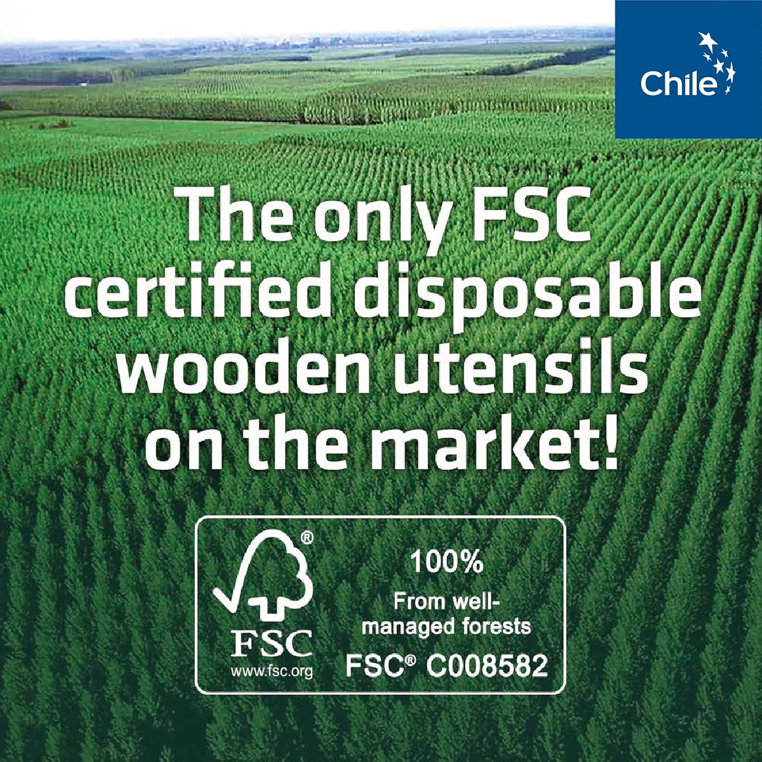 Eco-Friendly Bamboo Utensils Set - Image 10