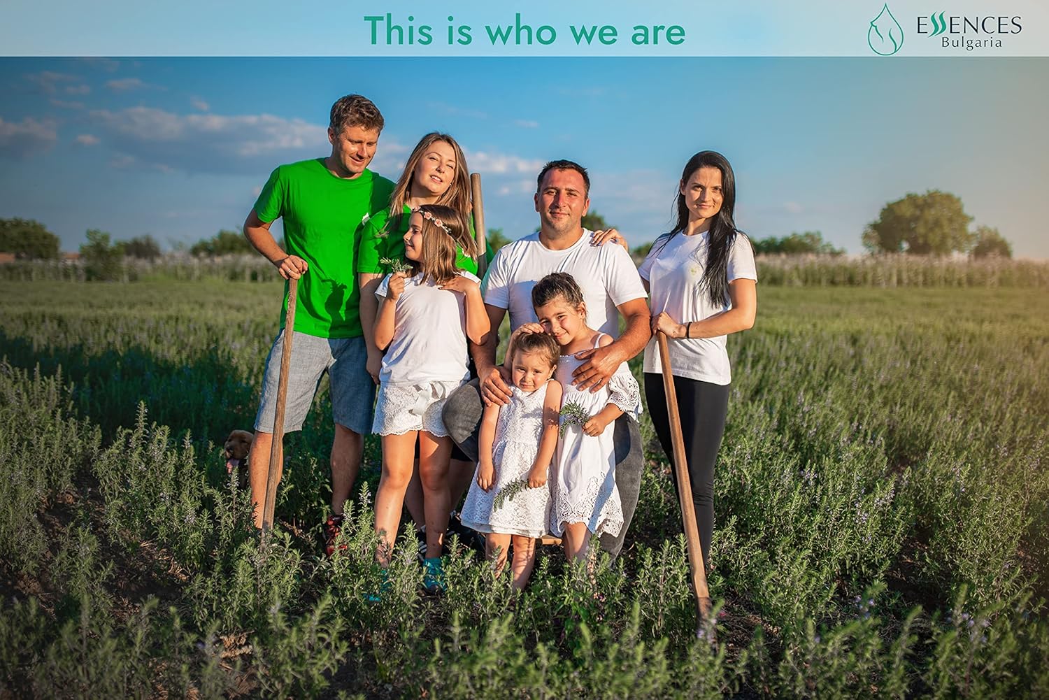 Organic Tarragon Essential Oil 100% Pure & Natural Aromatherapy - Image 9