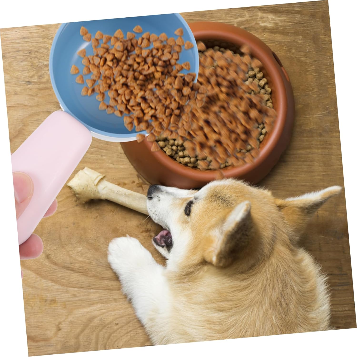 PET Food Scoop for Dogs and Cats - Image 10