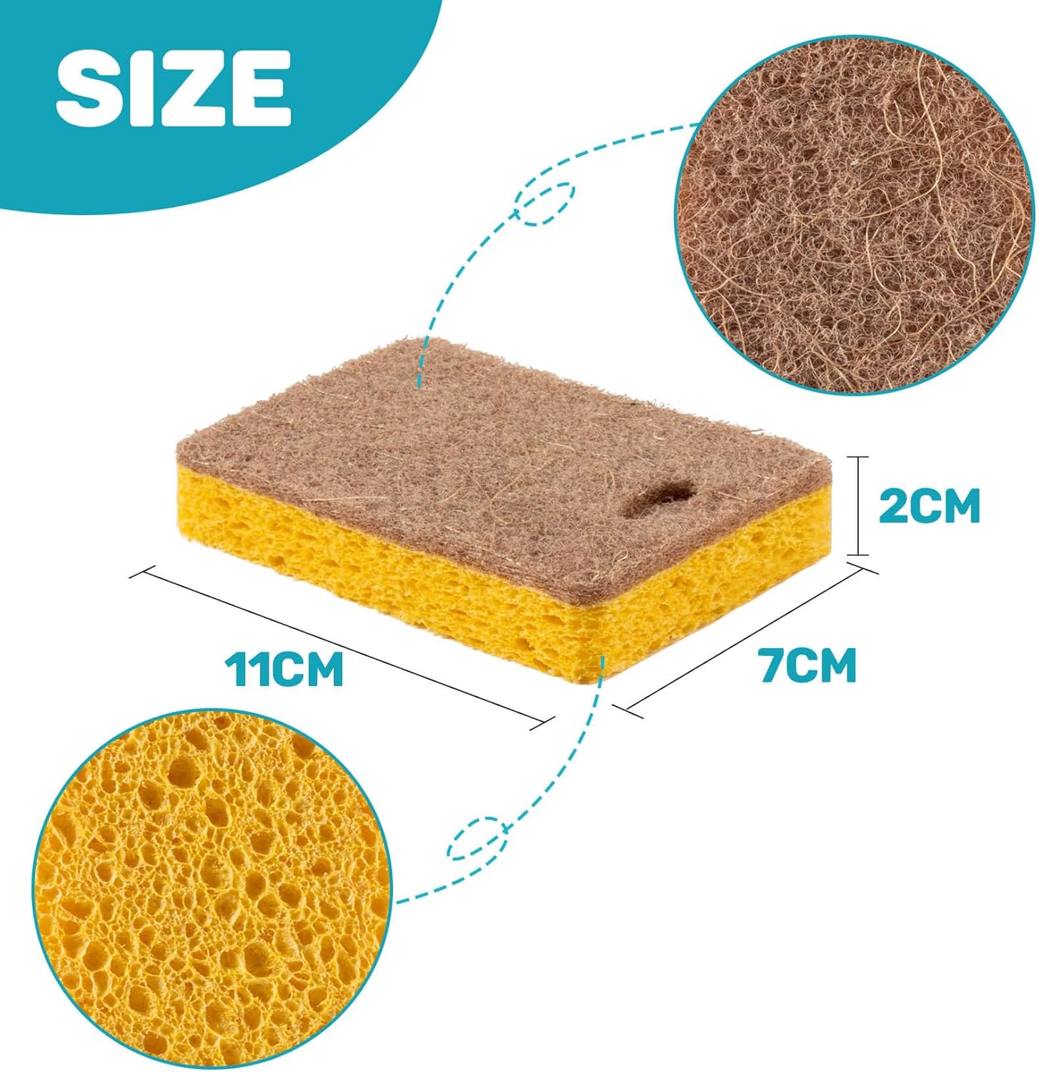 Biodegradable Dish Sponges for Kitchen Cleaning - Image 3