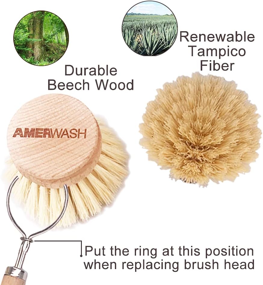 Natural Bristle Dish Brush Replacement Heads - Image 5
