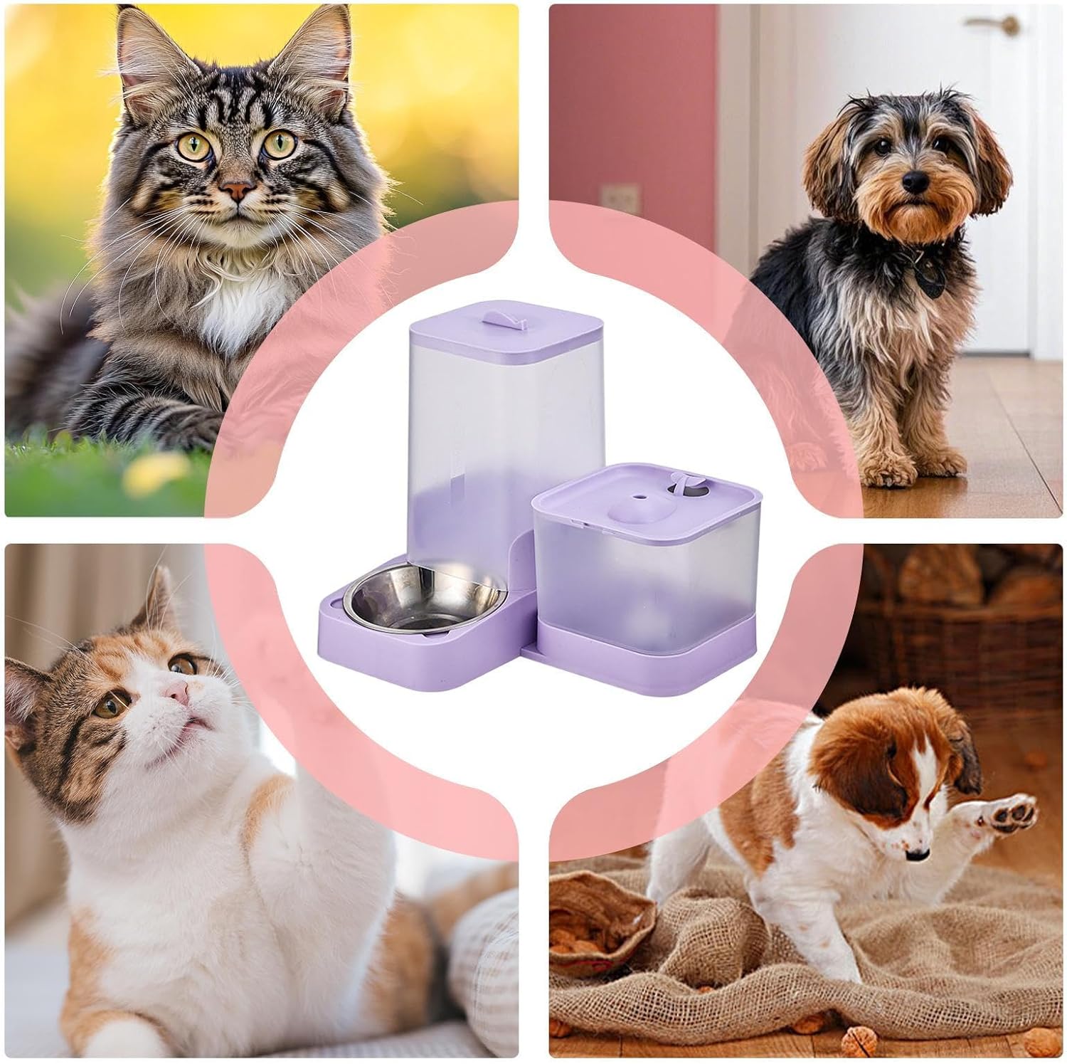 Automatic Pet Feeder with Stainless Steel Bowl - Image 7