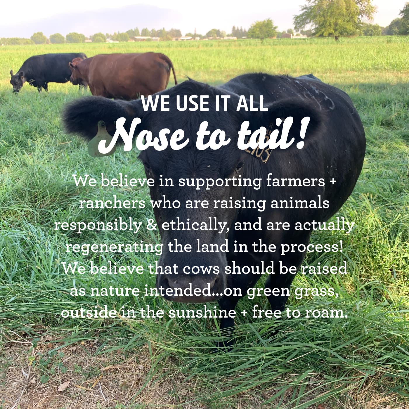 FATCO Stank Stop Natural Deodorant - Image 5