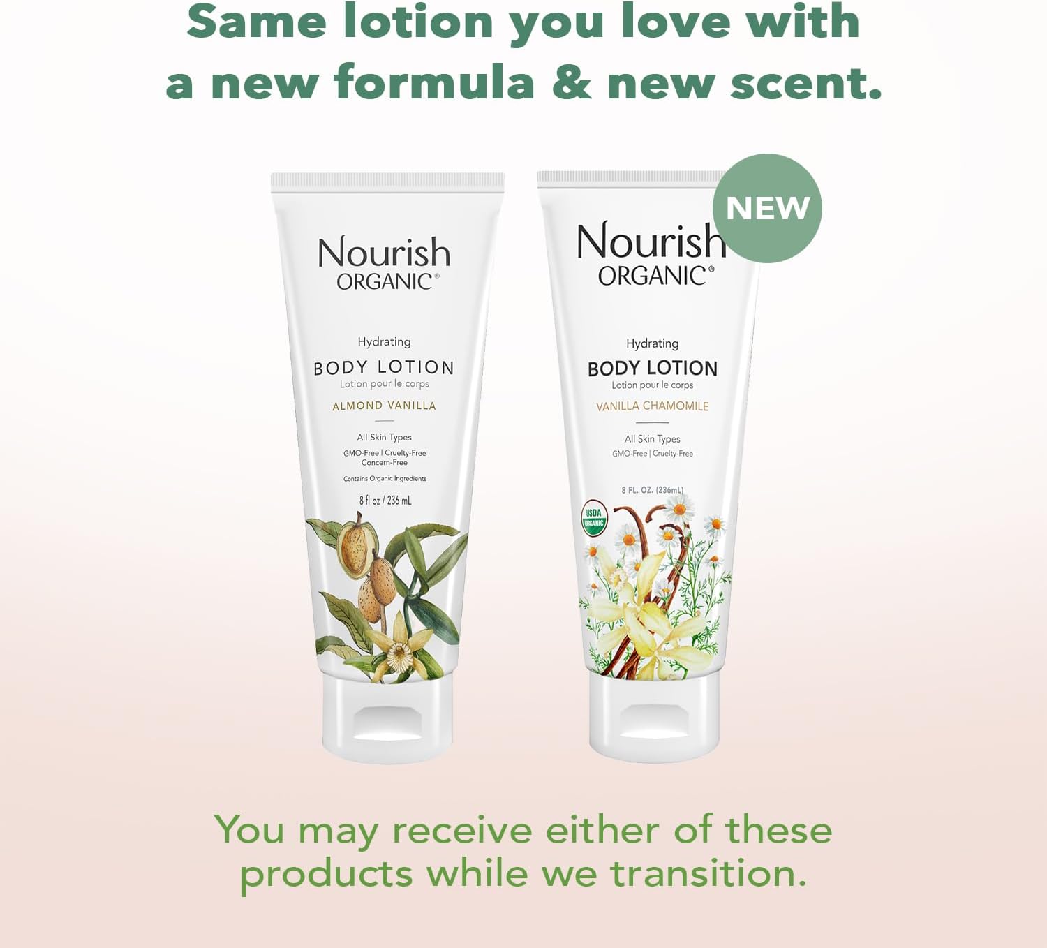 Nourish Organic Body Lotion, Almond Vanilla - Image 4