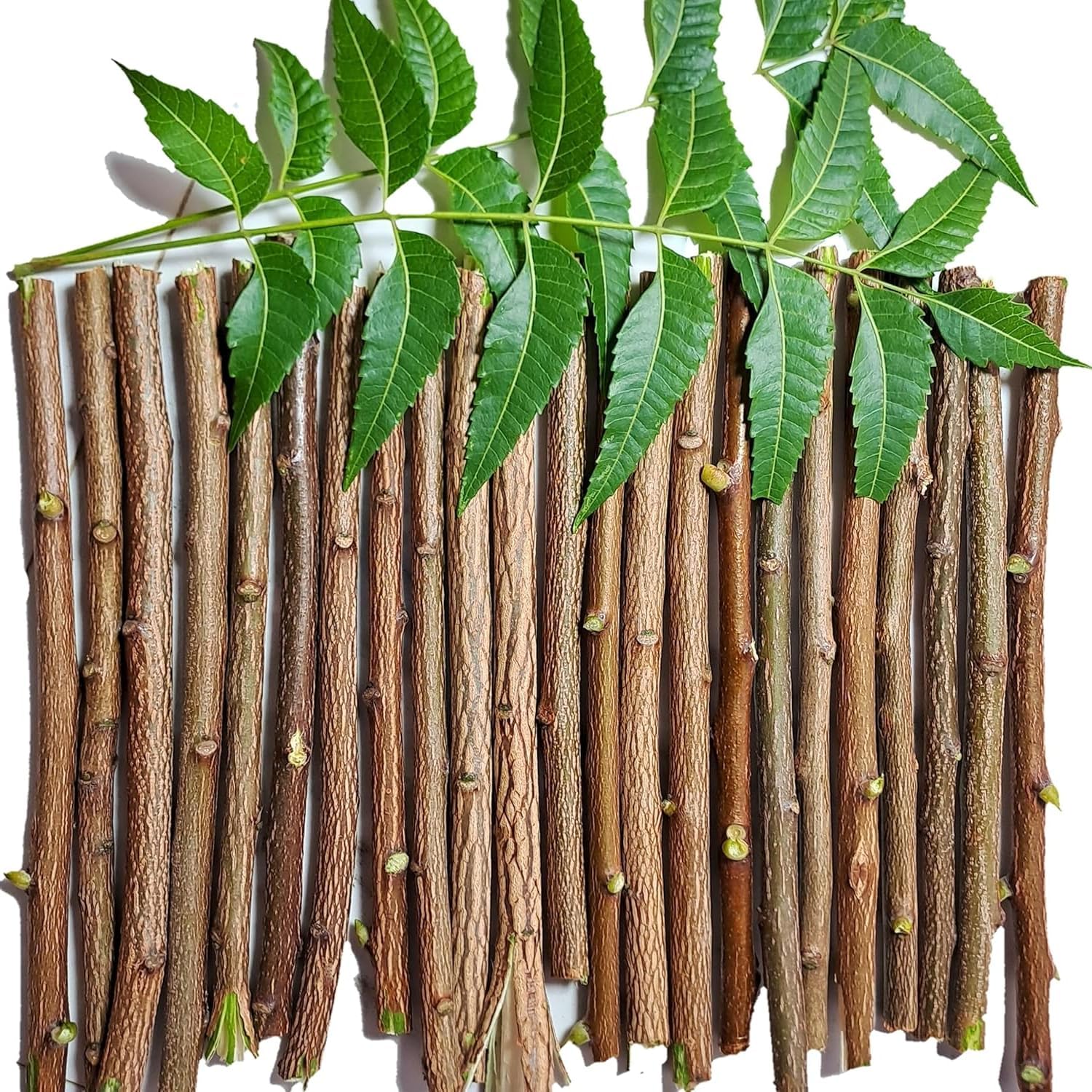 Ayurvedic Neem Datun Toothbrush Sticks - Image 3