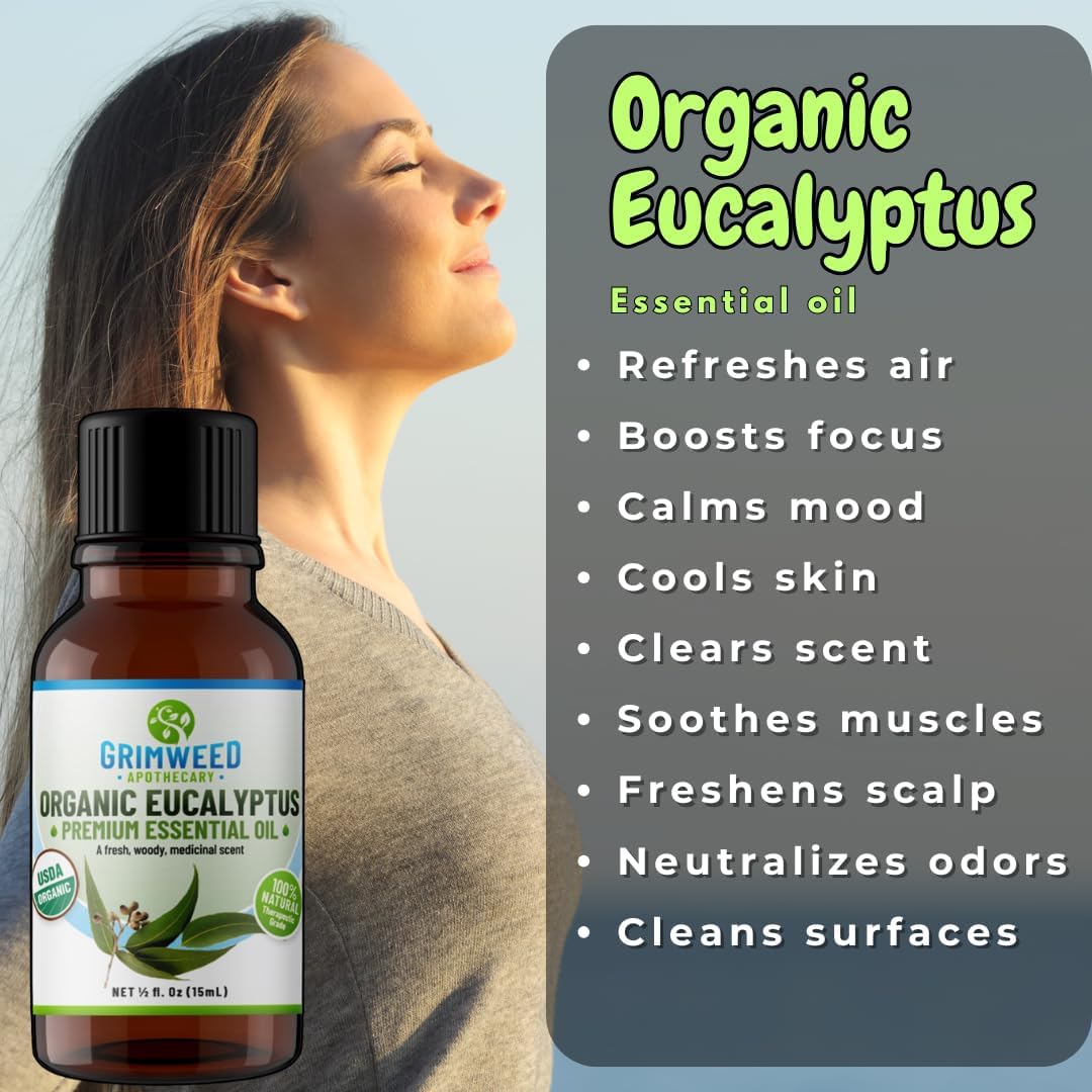 Eucalyptus Essential Oil - Image 4