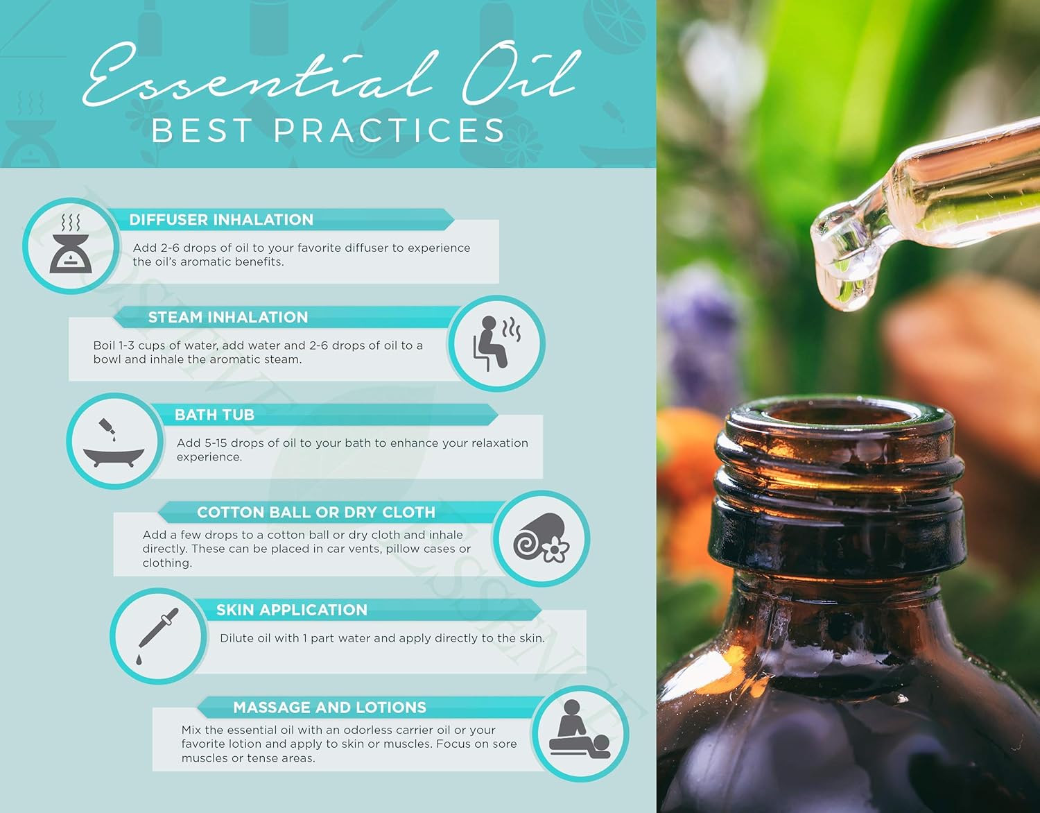 Lavender Essential Oil 10ml - Image 6